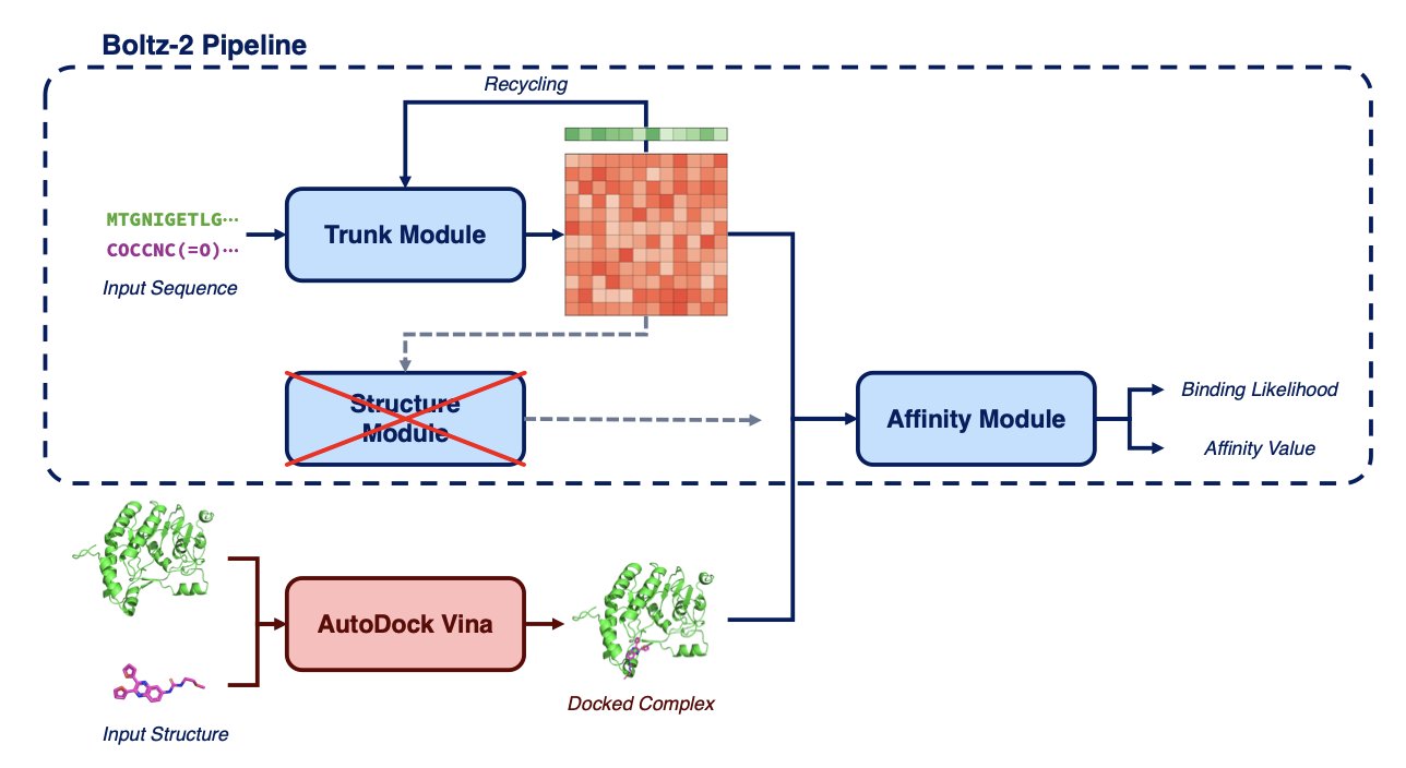 Boltzina 让一个快速但粗略的工具完成初步工作，再由一个精准但缓慢的 AI 做最终评估，在药物虚拟筛选中兼顾了速度与准确性。
