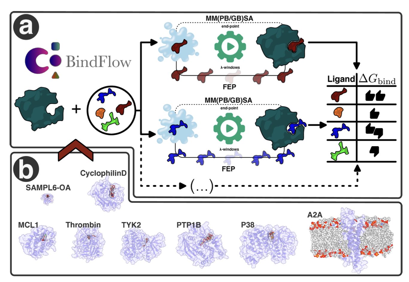 A diagram showing the BindFlow workflow, with elements like protein structures, small molecule ligands, a DNA double helix, and charts. It illustrates how the tool automates the process of calculating binding free energy.
