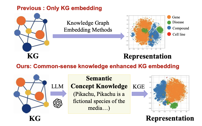 A flowchart showing how the LLaDR framework works. On the left, an icon represents a Large Language Model (LLM), which generates text descriptions for entities in a knowledge graph. An arrow in the middle points to the right, where a network-like biomedical knowledge graph (KG) is shown. The nodes in the graph are enhanced and fine-tuned with the text generated by the LLM, ultimately used for downstream prediction tasks like drug repurposing.
