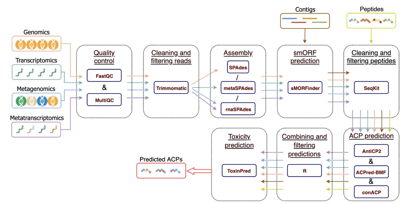 A flowchart titled 'MetaPepticon' illustrates an automated bioinformatics workflow for discovering anticancer peptides from microbial genomic data. The diagram is divided into several main modules from left to right. On the left are the input data types, including genomes, metagenomes, and transcriptomes. In the middle are the core processing steps, such as data preprocessing, consensus prediction using multiple tools (AntiCP 2.0, ACPred-BMF, ConACP), and toxicity prediction. On the right is the final output: filtered, non-toxic candidate anticancer peptides. The chart clearly shows how MetaPepticon integrates a complex screening process into an automated pipeline, highlighting its efficiency and reliability.
