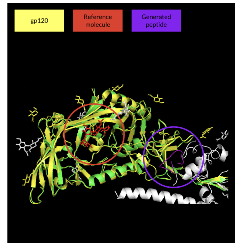 A bioinformatics illustration showing a protein structure. On the left is a complex 3D model of a protein, representing the HIV gp120 target, with a multi-colored and intricately folded surface. A smaller, ring-shaped molecule, the cyclic peptide, is precisely docked into a pocket on the target protein's surface. The entire image is set against a blue and purple gradient background, highlighting the details of the protein and peptide molecules. It visually explains the core concept of using AlphaFold for precise cyclic peptide design to target specific protein binding sites.
