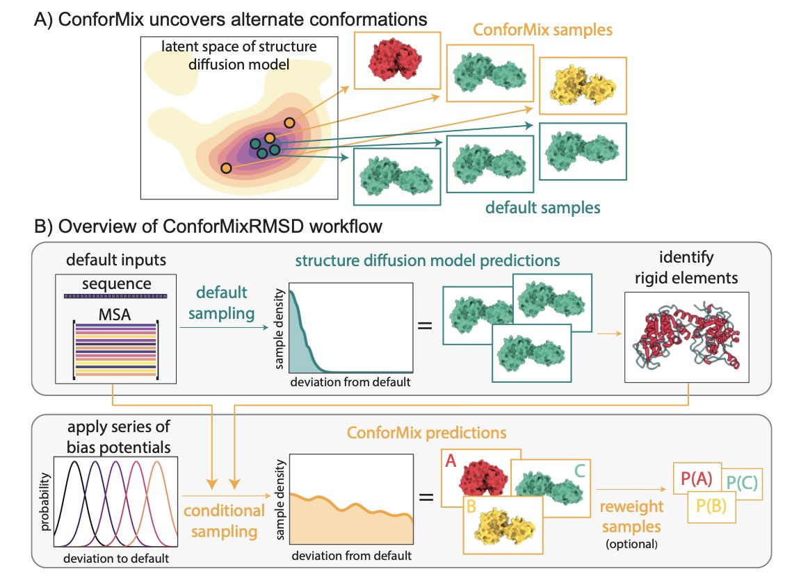 A concept diagram shows how the ConforMix algorithm guides an AI diffusion model to explore different protein conformations. On the left is a stable and common protein shape, labeled as the 'default' or 'low-energy' state. A series of arrows points from left to right, symbolizing the algorithm's guidance process. On the right are several different, even rare, protein conformations. One of these clearly shows an open 'allosteric pocket,' a key target for drug design. The diagram uses simple graphics and smooth lines to illustrate how ConforMix unlocks and discovers these functionally vital hidden molecular states at inference time, without retraining the model.
