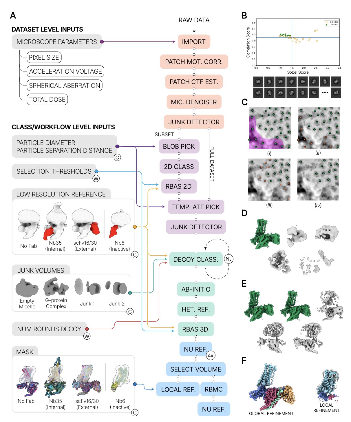 An illustration of the CryoSPARC software's automated workflow. The background shows a complex 3D rendering of a protein structure in blue and purple. In the foreground, the title 'Automated Workflows' sits above four icons representing key steps in the process: 'Automated Preprocessing', 'Automated Particle Picking', 'Automated 2D Classification', and 'Automated 3D Reconstruction'. The image clearly shows how the technology transforms the labor-intensive steps of cryo-EM data processing into a standardized, automated operation, accelerating the drug discovery pipeline.
