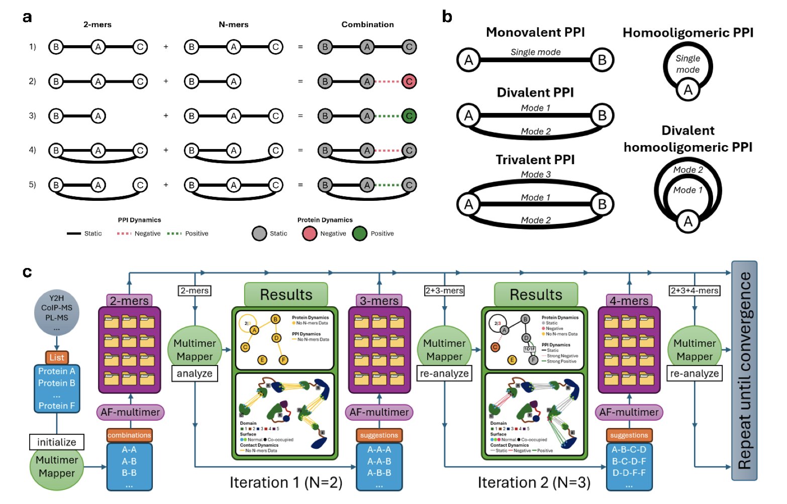This cover image for the MultimerMapper section visualizes the evolution from predicting single, static protein structures to mapping complex, dynamic assembly processes. The image reflects the article's core idea: using AI analysis to infer unknown stoichiometry and context dependency is like stitching isolated photos into a coherent movie. This visual emphasizes the tool's technical breakthrough in decoding protein interactions and dynamic behavior, showcasing its ability to work accurately without a predefined recipe.
