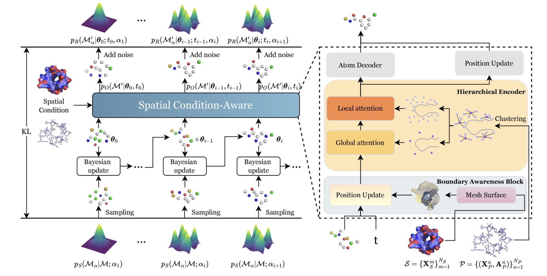 An illustration of the SculptDrug model using Bayesian Flow Networks to generate a drug ligand. The image shows a molecular structure inside a protein's binding pocket, guided by the boundary awareness module as it converges from a disordered noise distribution into a geometrically sound drug ligand. The diagram emphasizes the model's effective avoidance of steric clashes and its precise adaptation to the protein surface features.
