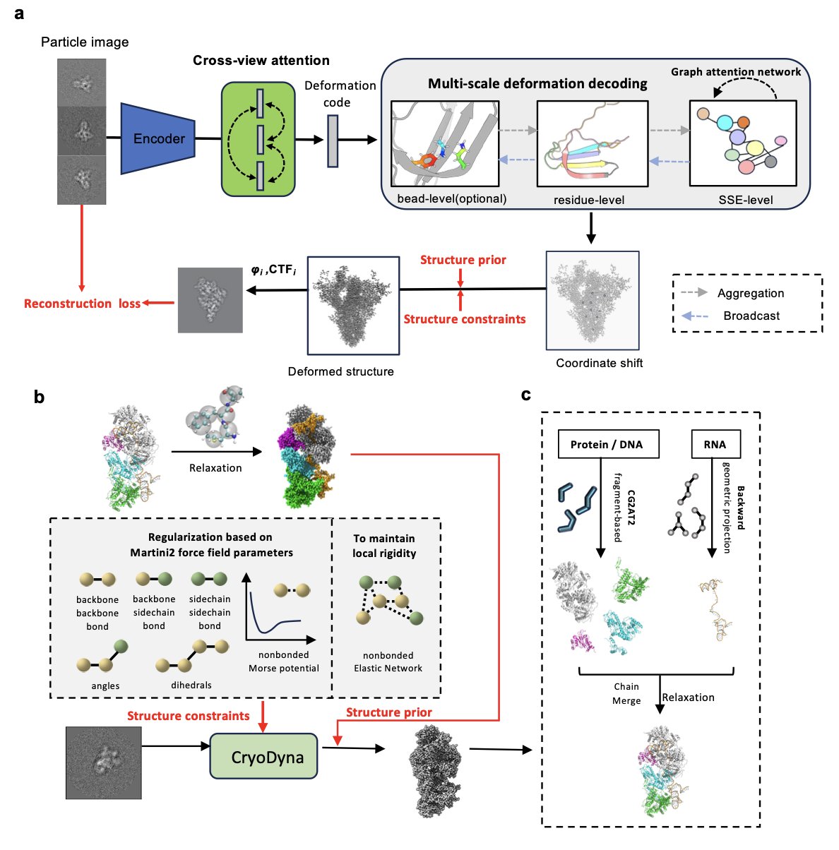 A scientific illustration showing a complex macromolecular structure, likely a protein or ribosomal complex. The structure is composed of ribbon and surface models in various colors, including blue, purple, green, and orange, depicting its different subunits or conformational states. A sense of motion in the image suggests molecular movement and change. This figure visualizes the core result of the CryoDyna technology: reconstructing thousands of static 2D cryo-EM images into a continuous, near-atomic resolution dynamic model of a protein. It shows how the model captures multi-scale structural changes, from global to local, revealing the dynamic processes of proteins as they perform their biological functions, which is important for drug development and structural biology research.
