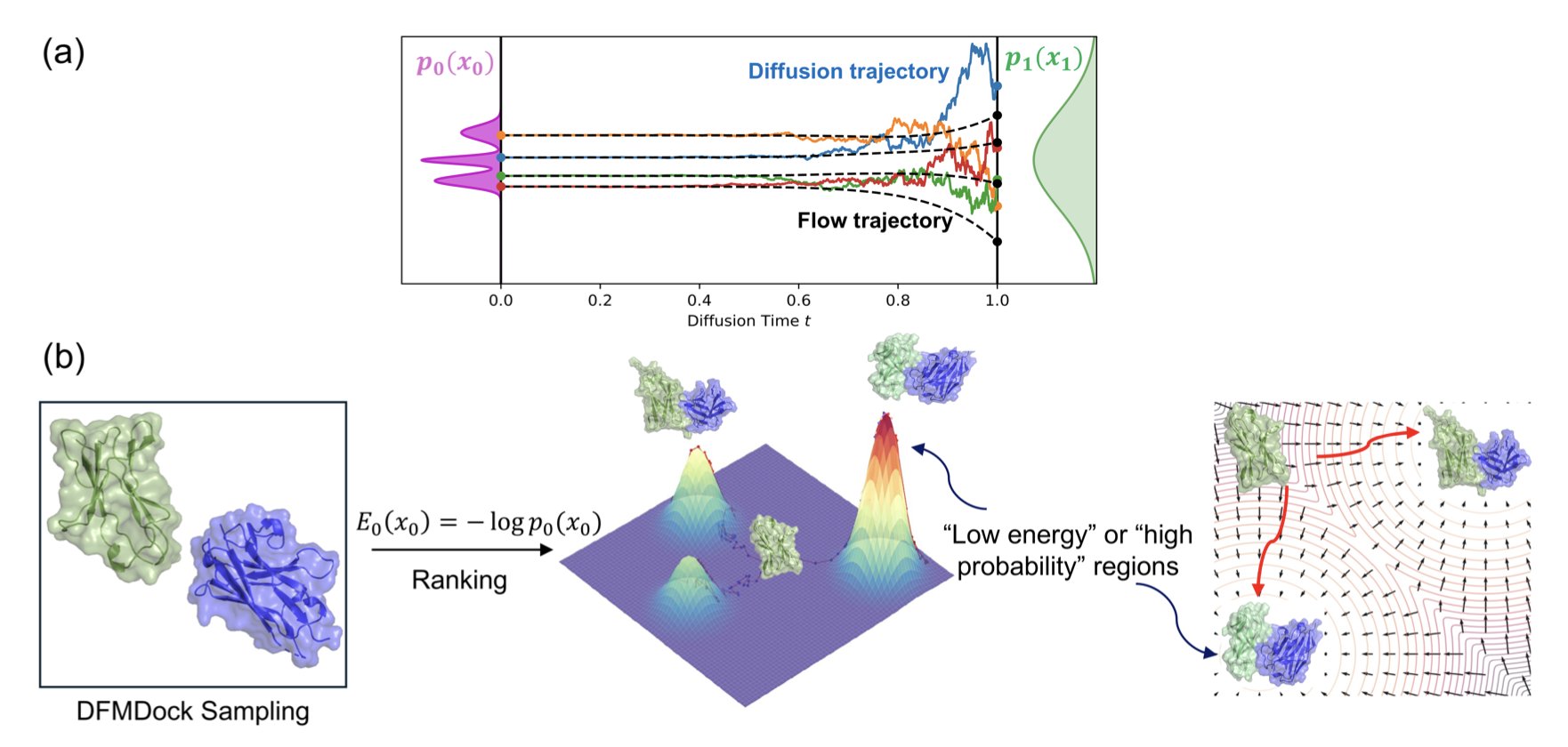 A 3D diagram shows a protein's folding 'energy funnel.' A funnel-shaped
surface narrows from a wide top to a deep blue valley, representing the
energy landscape of protein conformations. At the bottom of the funnel sits
a model of a protein's molecular structure, symbolizing its most stable,
lowest-energy native state. This image is used in the article to visually
explain the core idea: by learning from vast amounts of data, the internal
mathematical mechanism of an AI diffusion model has 'reverse-engineered'
the laws of thermodynamics. The energy scores it generates can accurately
map the physical process of finding the lowest-energy stable state, just
like the traditional physics engine Rosetta.
