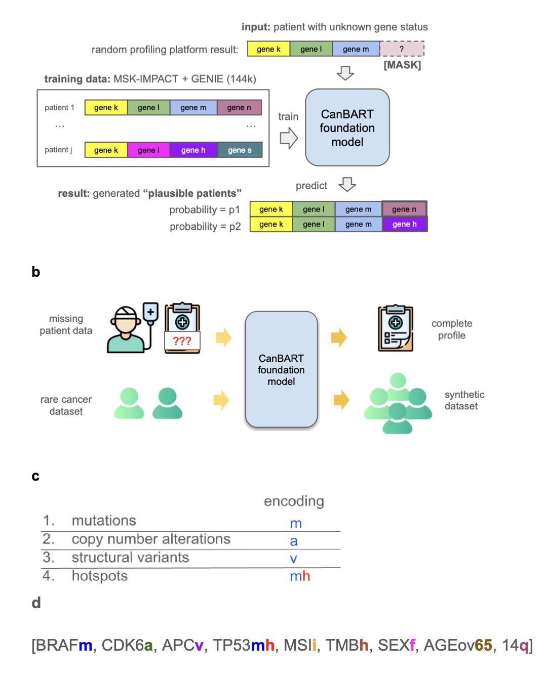 A concept diagram illustrating how the CanBART model works. The image might depict the process of feeding genetic mutation data from a large number of real cancer patients into a 'black box' AI model. After processing this information, the model outputs new, structurally complete virtual patient genetic profiles. The diagram visually represents how CanBART learns the patterns of cancer's 'genetic language,' similar to how a language model learns 'vocabulary' and 'grammar,' to generate synthetic data for research. It emphasizes the technology's central role in solving the problem of data scarcity for rare cancers.
