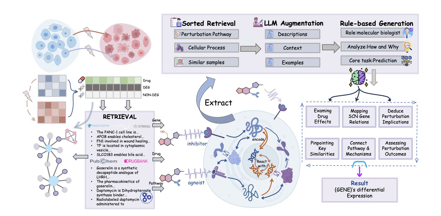 A flowchart showing how VCWorld works. On the left, the input is labeled 'Biological Knowledge' with a network diagram. In the center is the core component, labeled 'Biological World Model (VCWorld)'. On the right, the output is split into two parts: 'Prediction,' pointing to a bar chart of gene expression, and 'Explanation,' pointing to a clear signaling pathway diagram. The image illustrates how VCWorld integrates biological principles to not only make accurate predictions but also provide interpretable mechanistic paths, highlighting its core advantage as a 'white-box' model in drug development.
