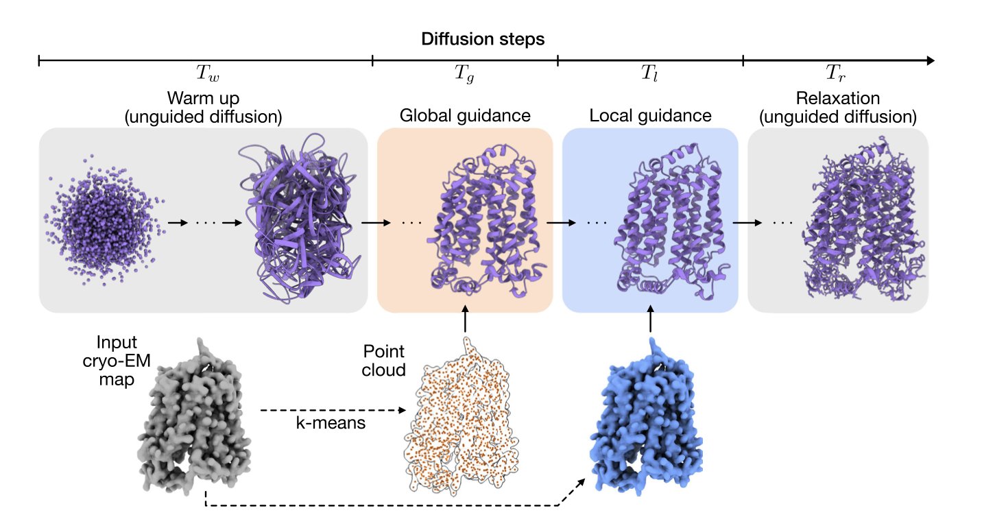 A scientific concept diagram illustrating the core principle of the CryoBoltz method. In the center is a clear, colorful 3D model of a protein structure, shown with ribbons representing helices and folds. This model is surrounded by a translucent, glowing blue cloud, which represents the heterogeneous density map data from a cryo-EM experiment, containing mixed information from multiple dynamic protein conformations. Several glowing arrows point from the blurry cloud to the clear protein model, visually explaining how CryoBoltz uses the blurry experimental data as a 'guide' to steer an AI model toward generating a precise protein structure that fits within these constraints. The image shows how 'blurry' experimental snapshots can be turned into clear insights into a protein's dynamic processes, which is critical for discovering drug targets associated with specific functional states.
