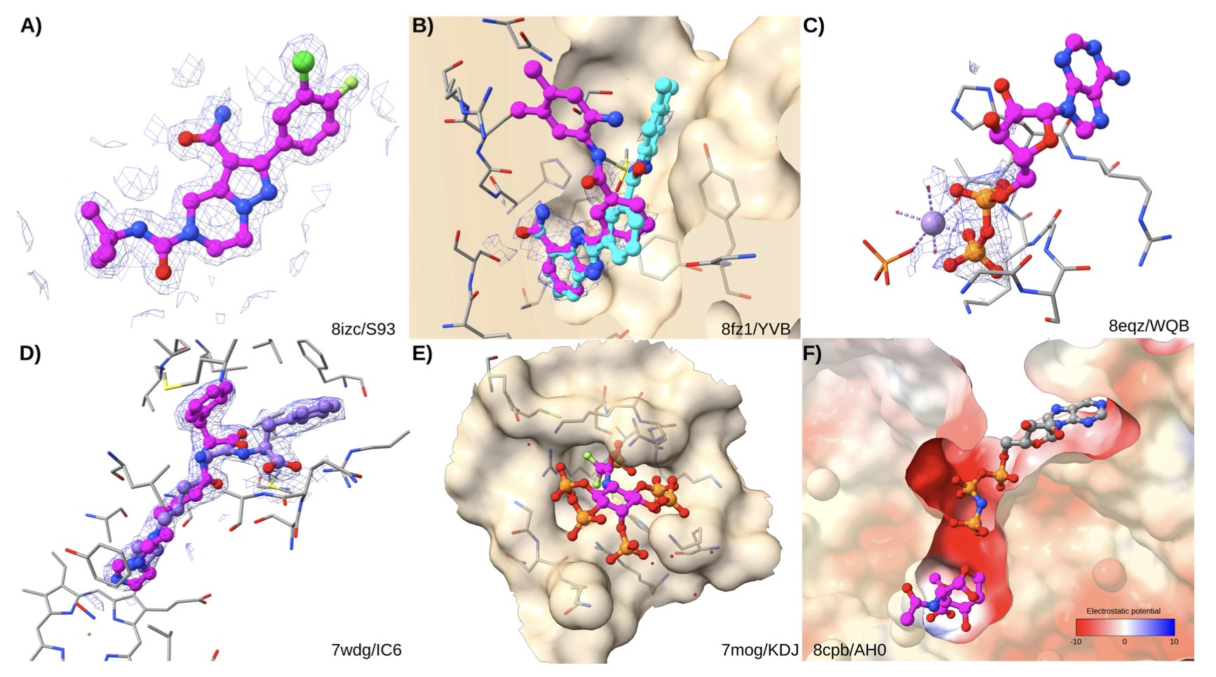 An infographic comparing two drug discovery techniques: AI co-folding and traditional molecular docking. The left side shows the 'co-folding' method, highlighting its reliance on a large protein structure database (PDB), implying its predictions are highly correlated with training data similarity. The right side illustrates 'docking,' depicting a small molecule finding its optimal binding pose in a protein's active site based on physicochemical principles. The graphic visually explains the article's core point in section 5: for truly novel drug targets, physics-based docking may be more reliable than AI models that depend on training data.
