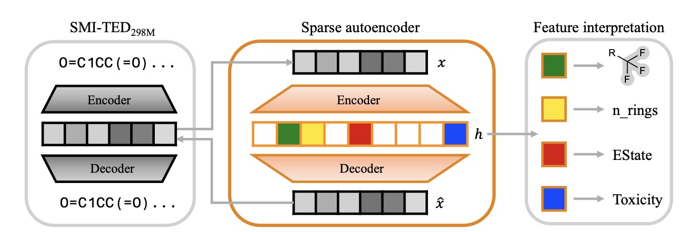 This is a conceptual diagram explaining how Sparse Autoencoders (SAEs) improve the interpretability of chemistry language models. On the left, a complex neural network represents the 'black box' model. Data flows from its hidden layers to the central component, the SAE, depicted as a structure that separates and purifies mixed information. Its outputs are clear, distinct chemical concepts or features, like icons of a benzene ring or a sulfonamide group. The diagram visually shows how SAEs 'dissect' the model's fuzzy internal representations into specific chemical knowledge that humans can understand and control, turning the 'black box' into a 'white box'.
