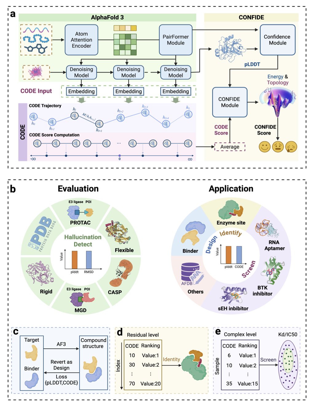 A scientific illustration showing complex biomolecular structures, used to explain how the CONFIDE model solves the 'hallucination' problem in AI protein structure prediction. The image might contrast a physically plausible protein fold with an incorrect structure generated by AI that has a 'topological conflict.' The latter could show a peptide chain unnaturally weaving through or passing through itself, forming an unbreakable 'knot.' This image visually demonstrates the limitations of traditional pLDDT metrics and highlights the importance of the CONFIDE framework in assessing global physical plausibility, helping researchers identify and filter out unreliable AI predictions.

